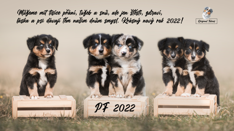 PF 2022 a ohlédnutí za rokem 2021