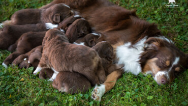 Vrh C, jaký byl náš třetí vrh
